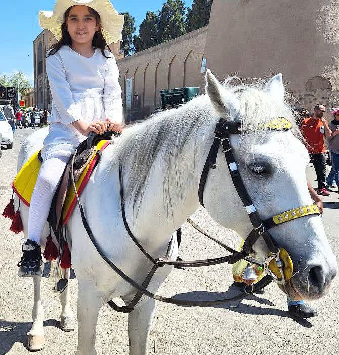 اثری از معصومه عسگری ( نازنین) از نویسندگان انتشارات حوزه مشق