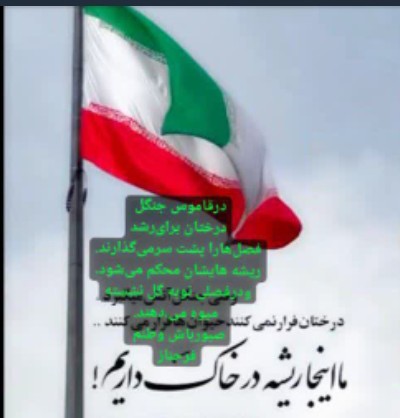 اثری از فرحناز مولایی از نویسندگان انتشارات حوزه مشق