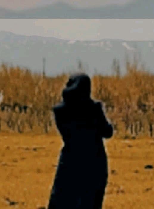 اثری از فاطمه پور امیر رزداری از  شاعران انتشارات حوزه مشق