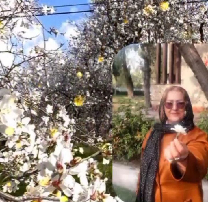 اثری از فرحناز مولایی از شاعران انتشارات حوزه مشق