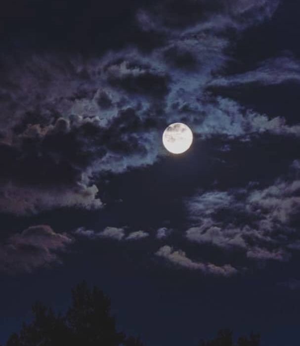 اثری از مبینا ترکمن از شاعران انتشارات حوزه مشق