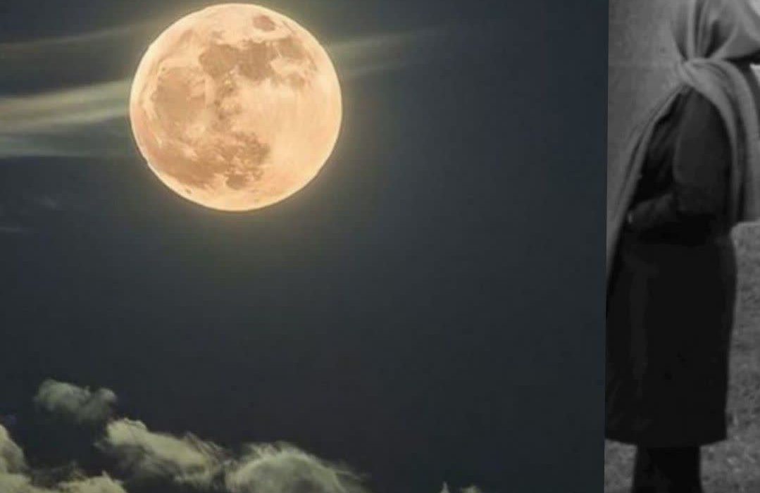 اثری از فاطمه پورامیر رزداری از شاعران انتشارات حوزه مشق