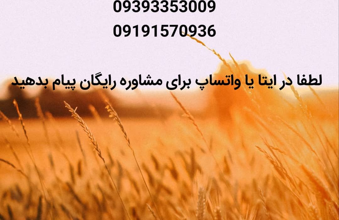 بزرگترین و معتبرترین انتشارات در شهرستان شمیرانات؛ خانه فرهنگ، اندیشه و نویسندگان بزرگ ایران