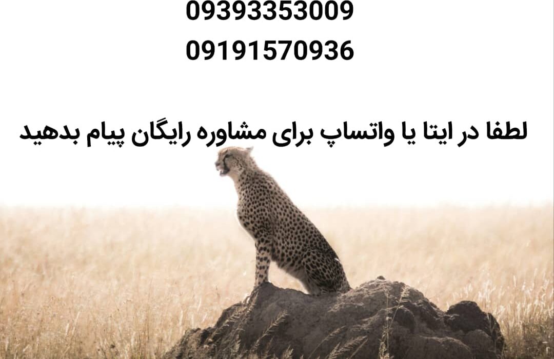 انتشارات بین‌المللی حوزه مشق؛ اولین انتخاب پژوهشگران برای تبدیل پایان‌نامه و رساله به کتاب